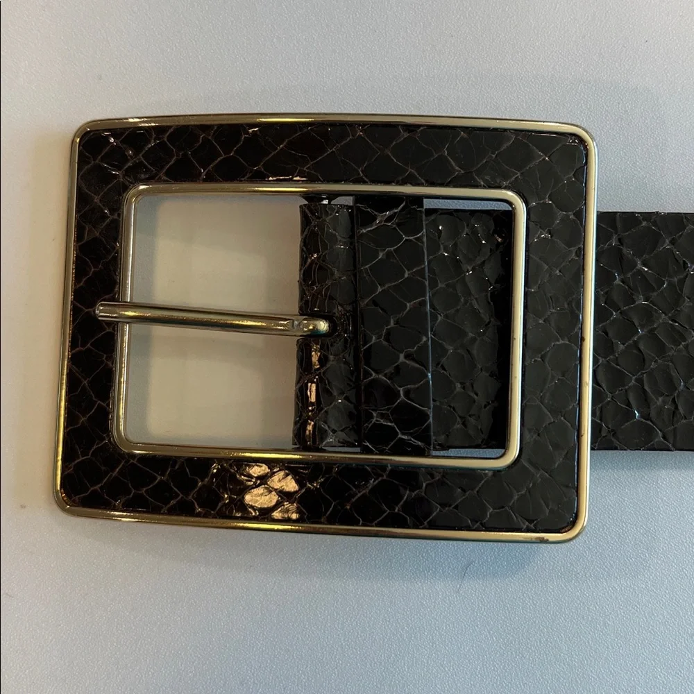 Banana Republic - Dark Brown, Snakeskin Textured Belt, Gold Accents, L